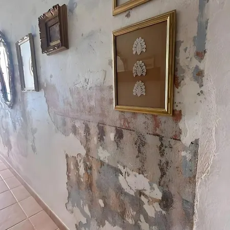 Mia House- Seaside With Garden * Santa Teresa Gallura